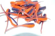 JASONS 2" STINGER SHAD 30 PACK GRUBS CRAPPIE LURES JIGS JUNEBUG & ORANGE