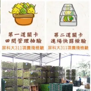 【EARNEST FARM 老實農場】100%檸檬/萊姆冰角任選6袋(28mlX10個/袋 加贈手壓蜜1管)