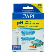 pH Test & Adjuster Kit 250 Tests By Api Allied Precision Industries Inc.
