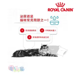 【法國皇家Royal Canin】泌尿保健貓 成貓 UC33 2KG/4KG 毛貓寵