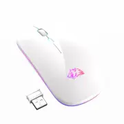 Rechargeable Wireless Mouse, LED Lights, Dual Mode 2.4GHz Bluetooth 5.0 (White)