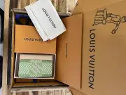 Tyler The Creator X Louis Vuitton Pocket Organizer