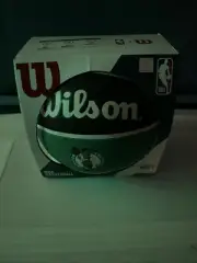 Wilson Team Tribute Boston Celtics Basketball