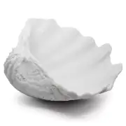 Extra Large Clam Shells Decorative Bowl-White Sea Shells Decorative Storage B...