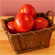 Tomato - Valiant seeds