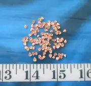 ~ Lilac Shells ~ 100 Rose-Peach Mix ~Vintage~ Shellcraft ~ Sailor's Valentines ~