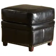 Newton Ottoman
