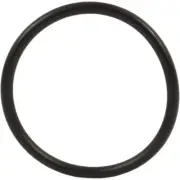 RTS1070 Motorcraft Thermostat Gasket Lower for F250 Truck F350 F450 F550 F-650 (for: Ford)