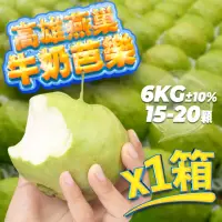 在飛比找momo購物網優惠-【果樹寶石】高雄燕巢牛奶中顆芭樂10斤x1箱（15-20顆/