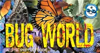 在飛比找三民網路書店優惠-Bug World: A 3-D Pop-Up Book