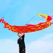 3M Silk Dragon Poi for Kids & Adults - Outdoor Fitness Dance with Fiberglass ...