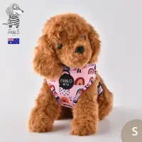在飛比找Yahoo奇摩購物中心優惠-澳洲Pablo & Co 可調整式胸背帶 寵物胸背帶 狗狗胸
