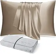 DISANGNI 100% Natural Mulberry Silk Pillow case for Hair and Skin with Hidden Zipper 22 Momme Both Sides Real Silk Pillow Case (1pc Standard Size 20" x26", Taupe)