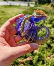 Purple and Gold Dice Guardian Dragon Resin Dragon TTRPG D20 Guardian