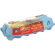 Manning Valley 12 Large Free Range Eggs 600g