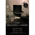 MEANING OF NIGHT: A CONFESSION