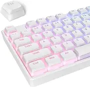 PBT Pudding Keycaps Set 117 Keys, Double Shot Translucent XDA Profile for ISO & ANSI Layout 61/68/84/87/104 Keys Mechanical Keyboard, White Pudding