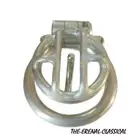 Chastity Cage with Prince Albert Piercing – Customizable Steel Cage CBT Bondage