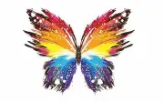 Colorful Abstract Butterflies / High Quality Canvas home wall art & Decor