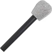 Silver Glittered Microphone