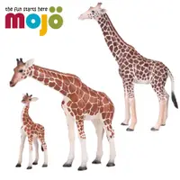 在飛比找蝦皮商城優惠-Mojo Fun動物模型 -長頸鹿(公/母/2021)/小長
