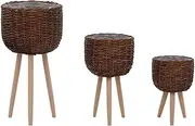 vidaXL Wicker Planters - Set of 3 Rustic Rattan Plant Pots with PE Lining and Stable Beech Wood Feet for Herbs/Flowers - Indoor/Outdoor Use - Brown