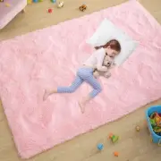 Ultra Soft Pink Rugs for Bedroom 4x6 Feet, Fluffy Shag Area Rugs for Living
