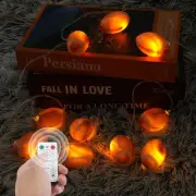 Football String Lights, 6.5ft 10 LED Football Lights Up Battery Powered Football