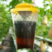 Trap Insect Bug Killer with Bait Outdoor Farm Fly Trap Outdoor Fly Catcher Cage