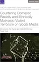 Countering Domestic Racially and Ethnically Motivated Violent Terrorism on Social Media: Introducing the Racist and Violent Extremist Flock Tool