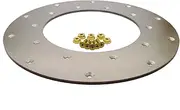 Fidanza 229001 Flywheel Insert Plate