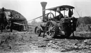 Wyllie 's thresher team Whitfield District Victoria 1920 OLD PHOTO