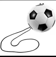 Boomerang Ball All Sports Training Aid Soccer