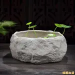 【全館免運】下殺🔥水養銅錢草的水仙花水培花盆創意個性粗陶仿天然石頭陶瓷碗蓮睡蓮