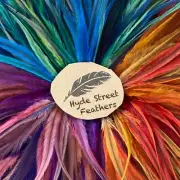 Emu Feathers x 300pcs Jewellery Craft DIY Millinery Fly Tying Feather Extensions