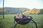 Outdoor Use Skywalks Floor Cat Hammock - with Stand - Free Shipping