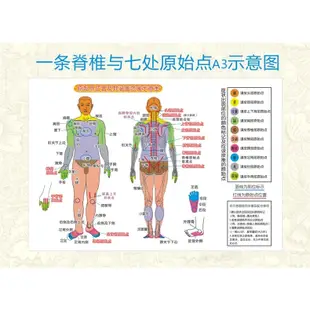 原始點醫學 健康手冊 松筋療法 醫學講座 張釗漢中醫師 簡體字 BH1