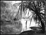Aboriginal Indigenous men spear fishing in river - Old Photo 1