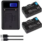NP-FM500H Battery x2 with USB LCD Charger for Sony FM500H, DSLR-A350 DSLR-A700 DSLR A200 A300 A450 A700 A580 SLT-A99 DSLR-A100