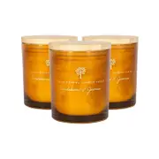 Nicola Spring Scented Soy Wax Candles - 130g - Sandalwood & Jasmine - Pack Of 3