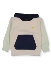 Toddler Boys Hoodie 3 CHATEAU GREY MINERAL GREY (PLAIN)
