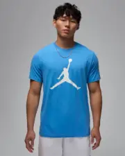 Nike Air Jordan Jumpman Logo Tee Mens T-Shirt Blue Multi Size Casual Top