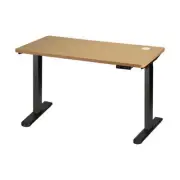 Ergonomic Sit Stand Desk Electric Home Office Computer Workstation