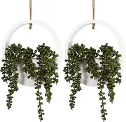 2Pcs Artificial Succulents Hanging Plants, Beautiful Hanging Plants Artificial Decor, Fake Wall Hanging Plants, Decorative Wall Hanging Plant, Artificial Plants Indoor Outdoor for Boho Wall Décor