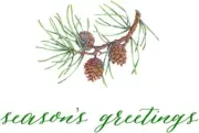 Pine Sprig Christmas Tree Cards by Design Design / 20 Cards and Envelopes