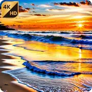 Calming Sunset Glow at the Shore Nighttime Sounds for Fire TV