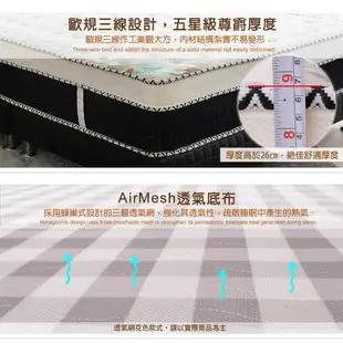 【LooCa】乳膠手工4.8雙簧護框硬式獨立筒床墊-單大3.5尺(搭贈100%防水保潔墊)
