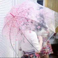 在飛比找蝦皮購物優惠-日本櫻花透明兒童雨傘/4色