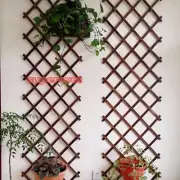 Natural Wood Wall Trellis Expanding Garden Flower Plant Climbing Fence 150X30cm