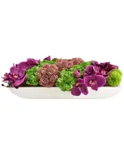 Creative Displays Orchids & Succulents in Oblong Planter
